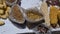 Colorful ears of dried corn and sacks of beans and grain