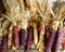 Colorful ears of indian corn ready for sale at the seasonal agricultural fair