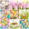 Colorful easter collage