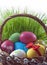 Colorful easter eggs in the basket