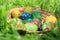 Colorful Easter eggs in a basket on green meadow background.