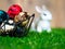 The Colorful easter eggs are in the basket. Placed on green grass. Have a cute rabbit in the back. The back is a brown wood frame.