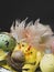 Colorful easter eggs with chickens nest on white plate