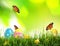 Colorful Easter eggs with flowers in grass and butterflies on blurred background