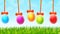 Colorful Easter eggs on green grass background
