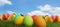 Colorful Easter eggs green grass sky clouds horizon 3d-illustration