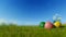 Colorful Easter eggs on green meadow over blue sky, focus in