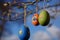 Colorful easter eggs hanging on tree branches on a sunny day with blue sky background. Concept of Easter in Germany