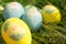 Colorful easter eggs hiding on the grass, ready for the egg hunter traditional