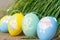 Colorful easter eggs hiding on the grass, ready for the egg hunter traditional