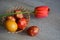 Colorful Easter eggs in a knit basket and red tulip on a wooden table.