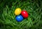Colorful Easter eggs lie in the grass twisted in the form of a nest