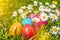 Colorful Easter eggs lying in the grass