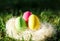 Colorful Easter Eggs in a nest on spring green grass with sunlights. Easter hunt.