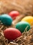 Colorful easter eggs painted with natural dyes in straw. Front view. Easter Concept. Vertical photo