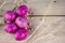 Colorful easter eggs with pearls and white glitter tree branch on a wooden background. Photo card for easter design. Happy Easter