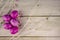 Colorful easter eggs with pearls and white glitter tree branch on a wooden background. Photo card for easter design. Happy Easter