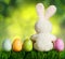 Colorful easter eggs and rabbit on green grass