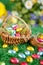 Colorful easter nests