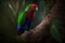 Colorful Eclectus Parrot Full Body In Forest. Colorful and Vibrant Animal.