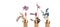 Colorful eco friendly bamboo toothbrushes with dried flowers. Zero wast wooden toothbrushes personal dental care accessories.