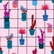 Colorful ector seamless pattern with different cactus in many kind of pots on window check line ,Hand drawing background with