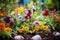 colorful edible flowers growing in a vibrant flower bed