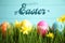 Colorful eggs and narcissus flowers in grass and text Happy Easter against light blue background