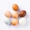 Colorful Eggs On White Background: Tonal Sharpness And Balanced Symmetry