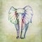 Colorful elephant drawing