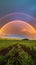 Colorful embrace Double rainbow paints the sky over a vast field