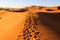 Colorful evening sun light shining on the sand dunes of the Erg