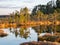 Colorful evening and sunset over the bog lake, crystal clear lake and bog in the evening, reflections on the water. Pine in the