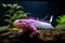 A colorful and exotic Axolotl swimming in a tank, showing off its unique and exotic appearance. Generative AI