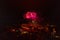 Colorful Explosions of Festive Fireworks Illuminate the Night Sky Valmiera. Colorful exploding fireworks light up the night sky