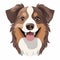 Colorful And Expressive Australian Shepherd Dog Vector Portraits