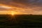 Colorful and expressive sunset sky with a sun star casting rays of sunlight over an endless green meadow