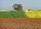 Colorful Extremadura landscape in Spring time - Spain