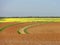 Colorful Extremadura landscape in Spring time - Spain