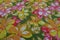 Colorful fabric remnant with stylized flower pattern from the 70s