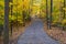 Colorful Fall Foliage Along a Beautiful Path #1