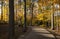 Colorful Fall Foliage Along a Beautiful Path #3