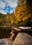 Colorful fall foliage forest and river landscape with a small waterfall