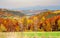 Colorful fall foliage mixed forest