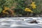 Colorful fall forest on a riverside of frozen-motion river