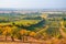 Colorful fall landscape with autumn trees and rows of vineyards photographed by Velke Bilovice, South Moravia, Czech Republic.