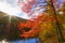 Colorful fall scenery landscapes.