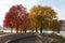Colorful Fall Trees at Gantry Plaza State Park in Long Island City Queens New York