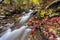 Colorful falls creek in autumn.