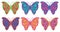 Colorful Fancy Butterfly Vector Design